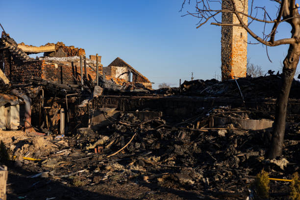 Reliable Fire Damage Removal contractor in Loretto, MN by Fire Damage Doption