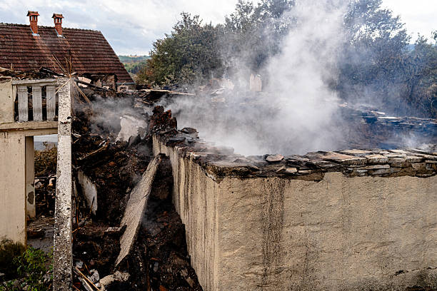 Affordable Fire Damage Removal solutions in Loretto, MN