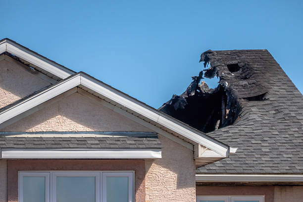 Top rated local Fire Damage Removal specialists in Loretto, MN